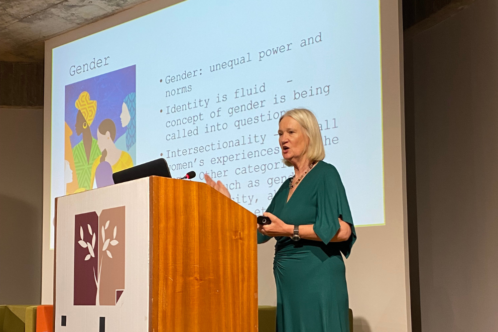 Professor Stroma Cole speaking at the IV International Congress on Healthy Learning and Work Environments